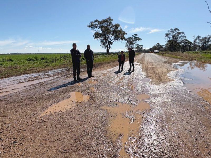 Albo, fund our Councils!