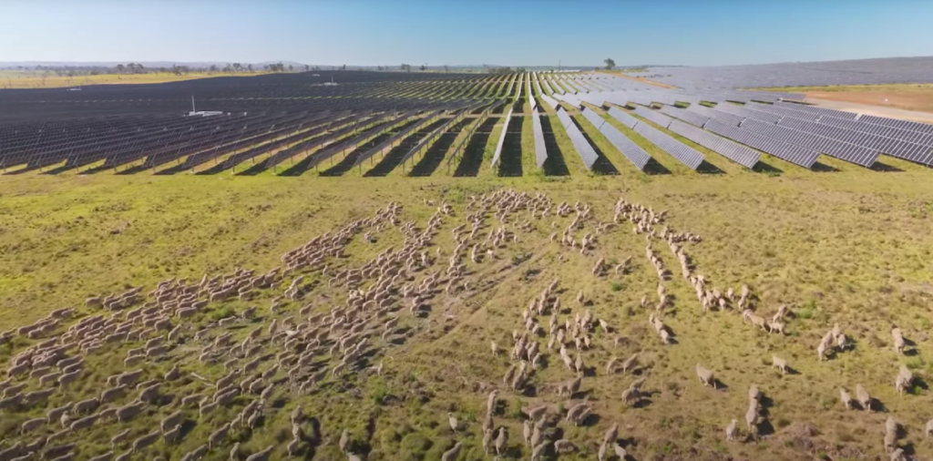 Local councils not consulted in Nationals plan to kill New England REZ