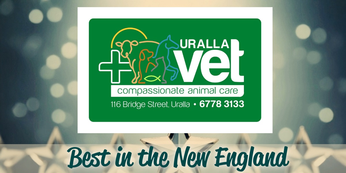 Uralla Vet Clinic takes top honours as New England’s best vets