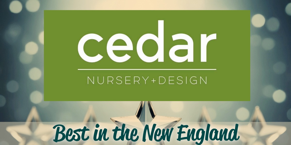 Cedar Nursery & Design blossoms to Best Nursery title