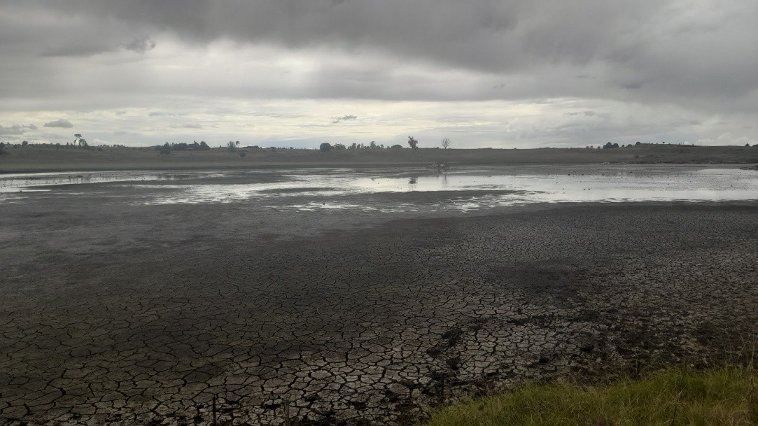 Community urged to cut water use as Glen Innes restrictions remain