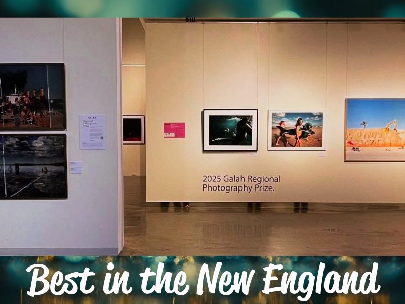 NERAM celebrates win as Best Gallery in the New England