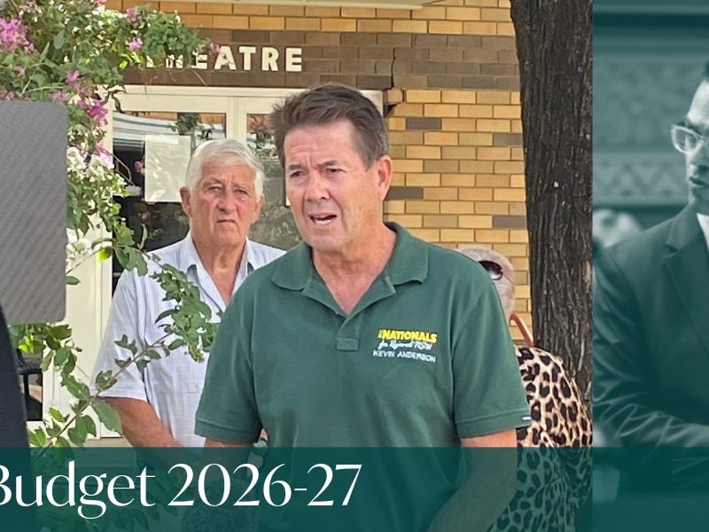 Anderson puts Labor on notice ahead of NSW Budget