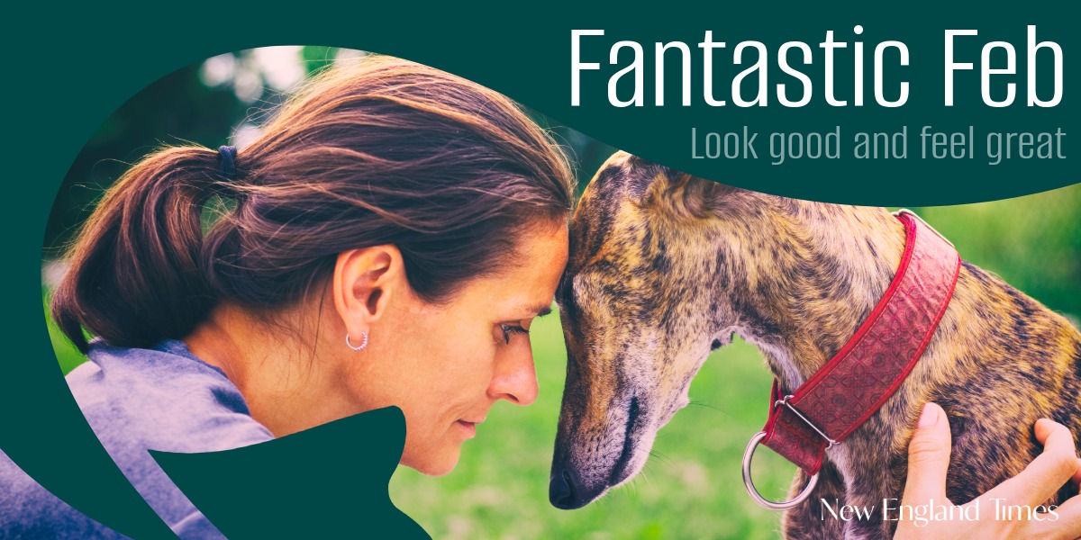 Greyhounds to Steal Hearts at Tamworth Adoption Day