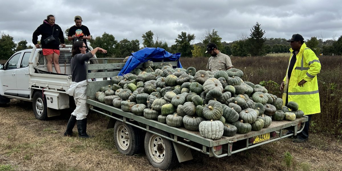 Pathfinders’ Pumpkins Hit the Road Again to Support Communities in Need