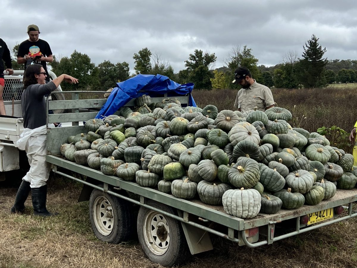 Pathfinders’ Pumpkins Hit the Road Again to Support Communities in Need