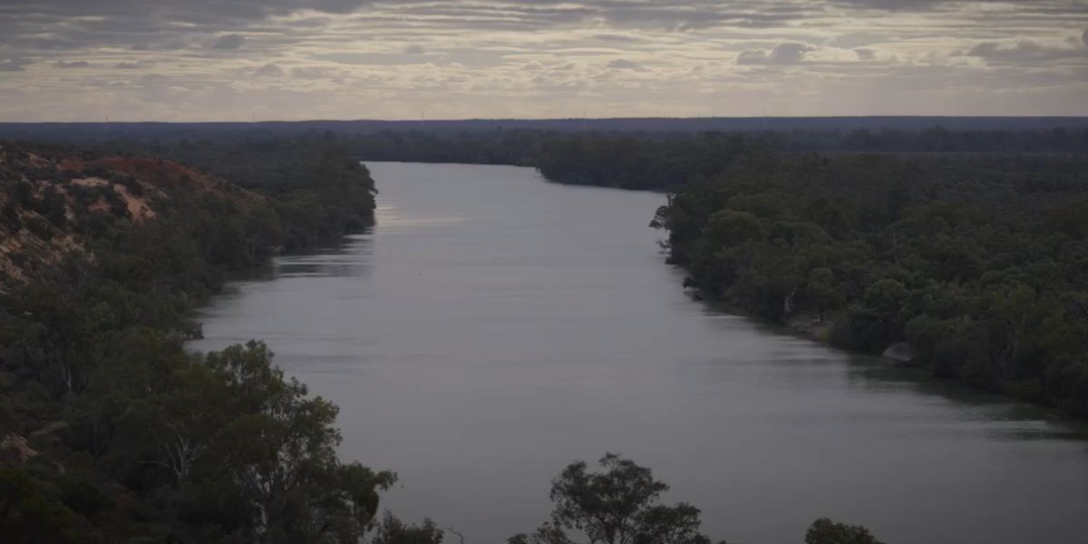 A 60-million-year history lesson in 60 minutes