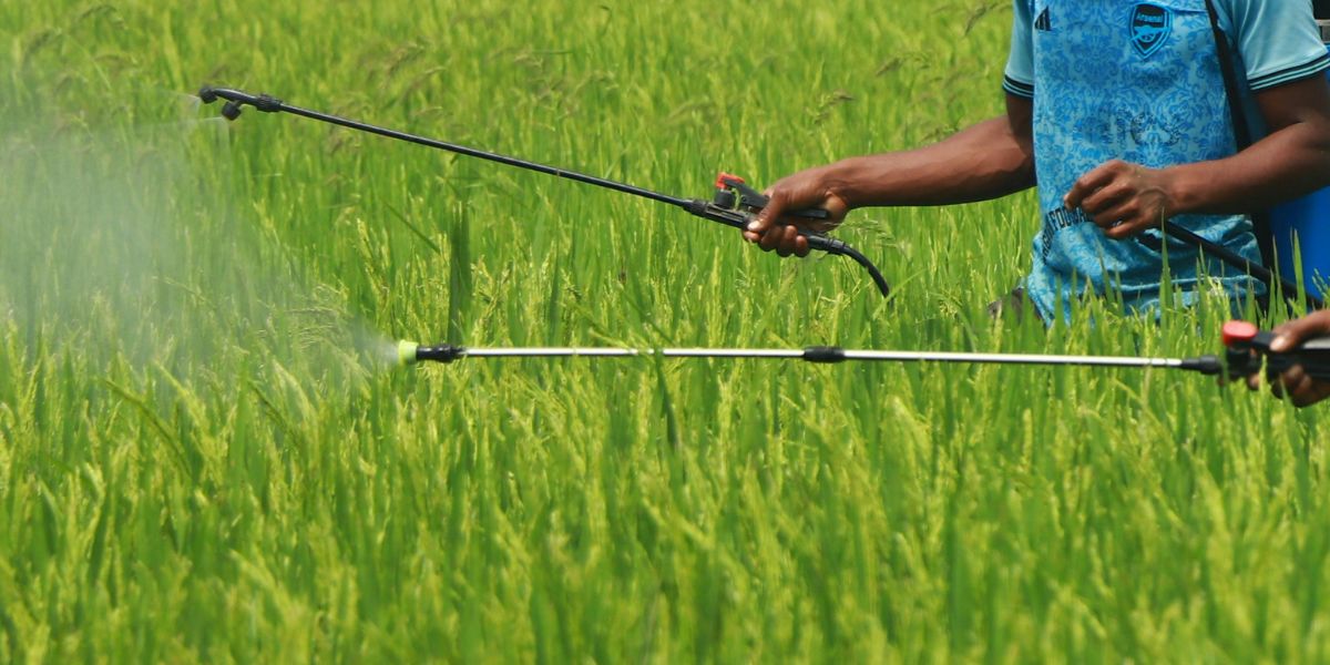 Pesticide users reminded to meet record-keeping rules