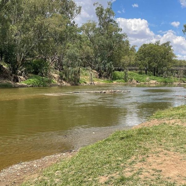 Coalition water taskforce targets Basin buybacks