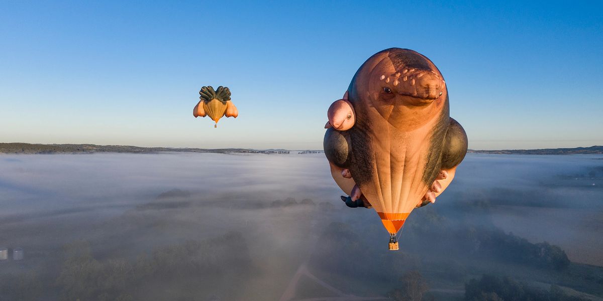 Skywhales to soar over Armidale at 2026 Autumn Festival