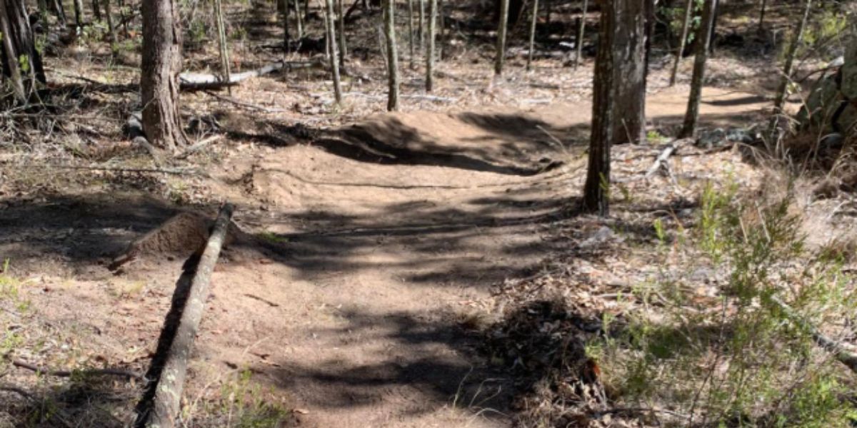 Inverell Mountain Bike track reopens after club reforms