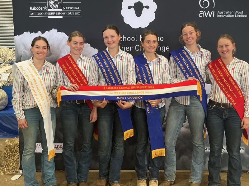 PLC Armidale crowned champion at NSW Merino Wether Challenge