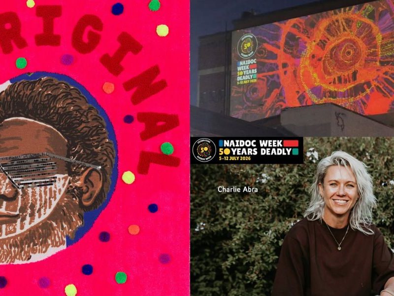 Kait James: Red Flags arrives at Tamworth Regional Gallery