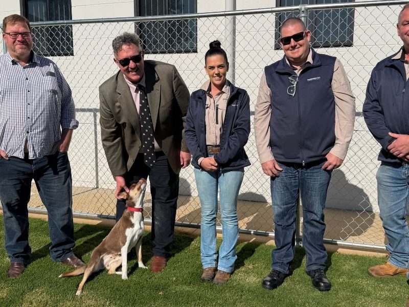New era for companion animal care