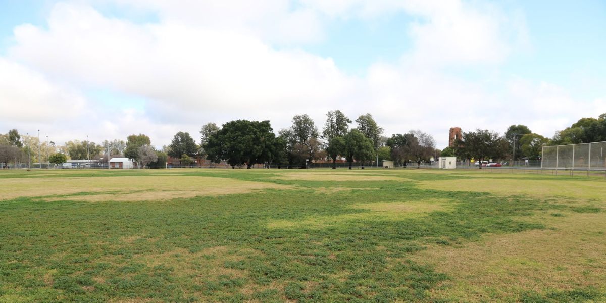 Community invited to help shape Taylor Oval’s future