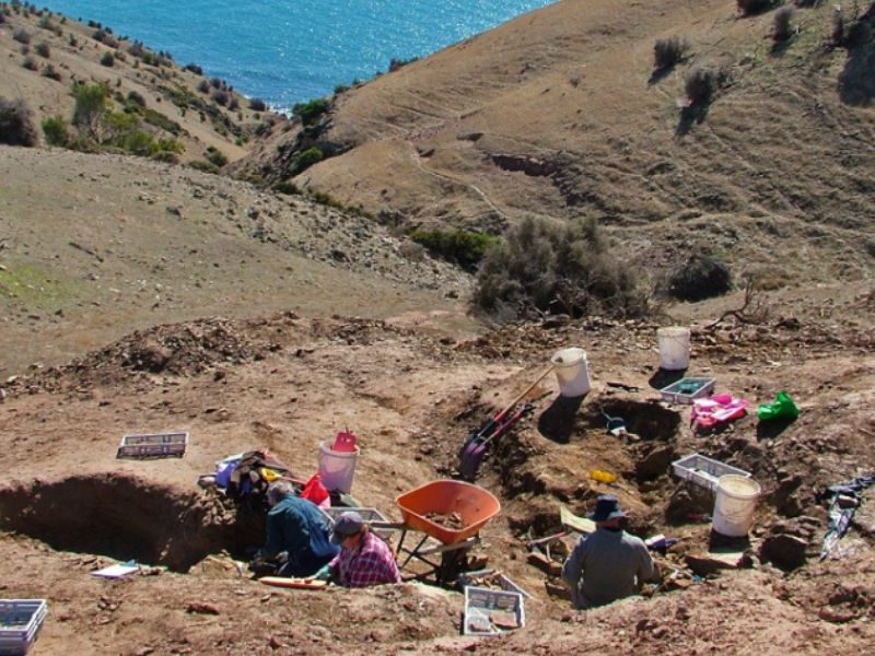 Stamped in time: UNE research features in new Australia Post stamp collection