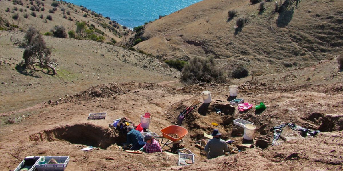 Stamped in time: UNE research features in new Australia Post stamp collection