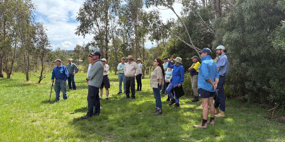 Armidale leaders celebrate Creekland Restoration achievements