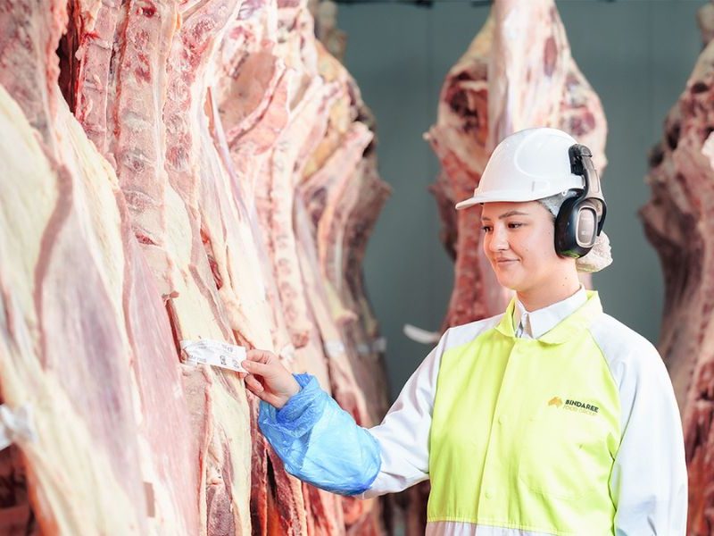 Bindaree backs future red meat leaders through three-year ICMJ partnership