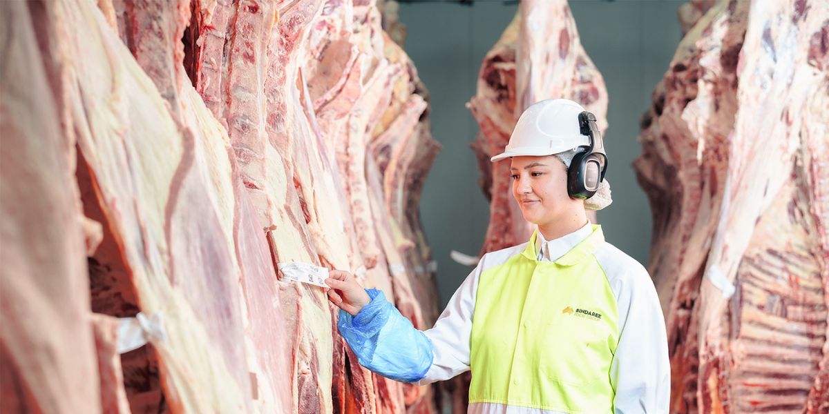 Bindaree backs future red meat leaders through three-year ICMJ partnership
