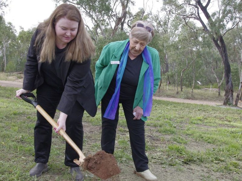 Gunnedah reclaims koala capital title