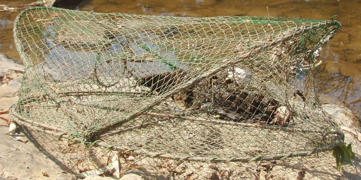 Swap your old yabby traps for a new lure at AgQuip to help fish habitat