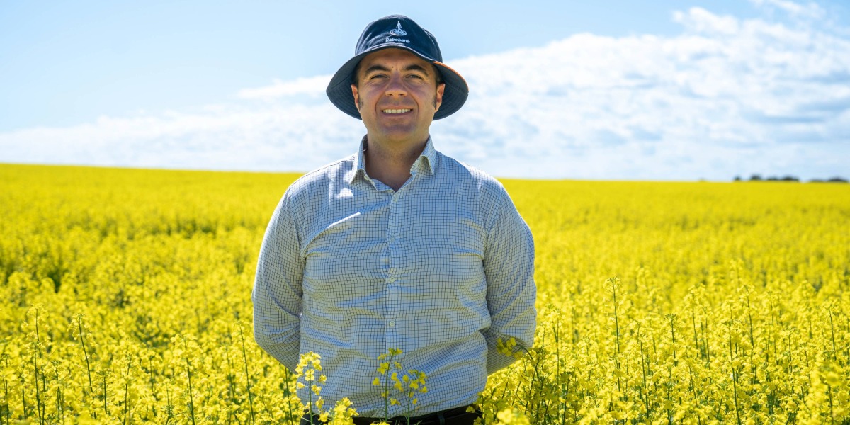 From paddock to petrol: canola could help fuel Australia’s future