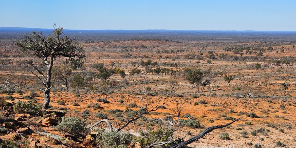 Gas tax no, new gas fields yes, Narrabri Gas Project don’t know