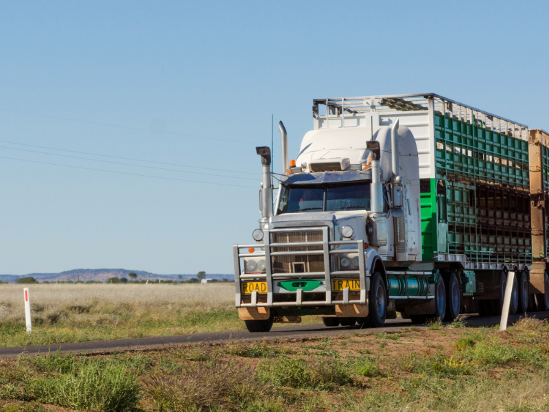 Trucking industry calls for urgent cashflow relief as fuel crisis bites