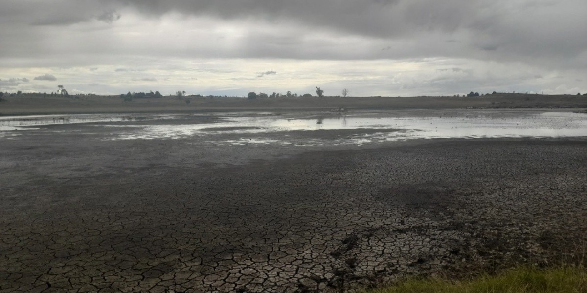 Community urged to cut water use as Glen Innes restrictions remain