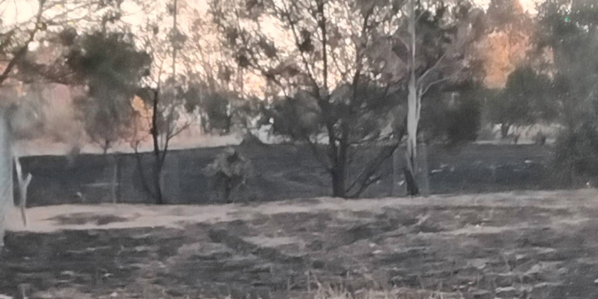 Community-first response contains Hillgrove bushfire