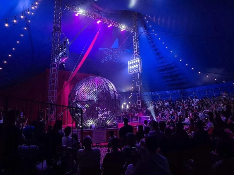 Ashton’s Circus squeezed as fuel costs surge