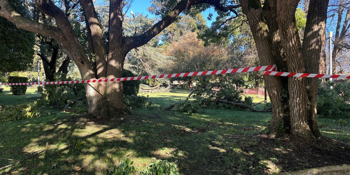 Free green waste disposal for Tamworth residents after storms