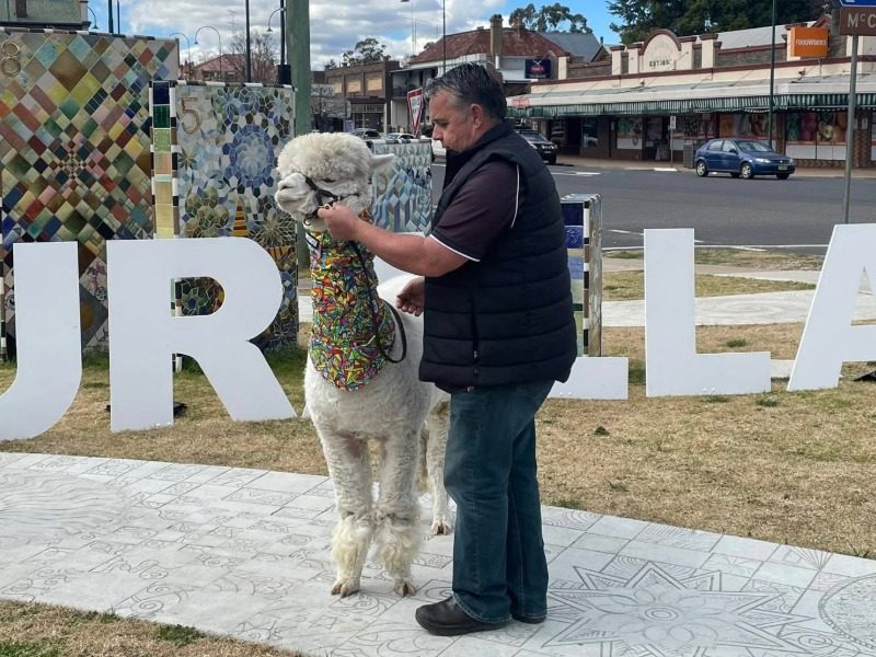 Alpaca joins mental health advocate on fundraising road trip