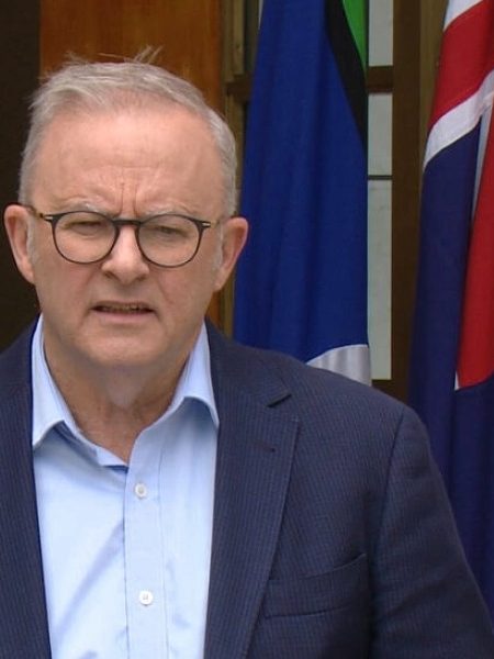 Joyce drags flag burning into hate laws as gun reform separated