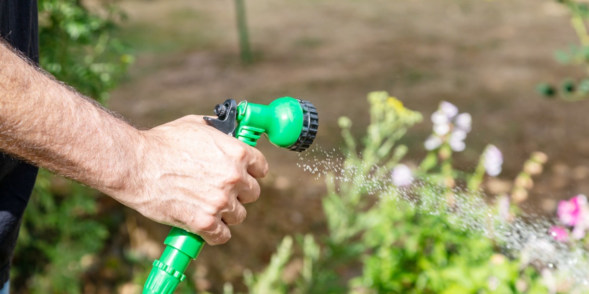 Narrabri moves to level 4 water restrictions as heat drives demand