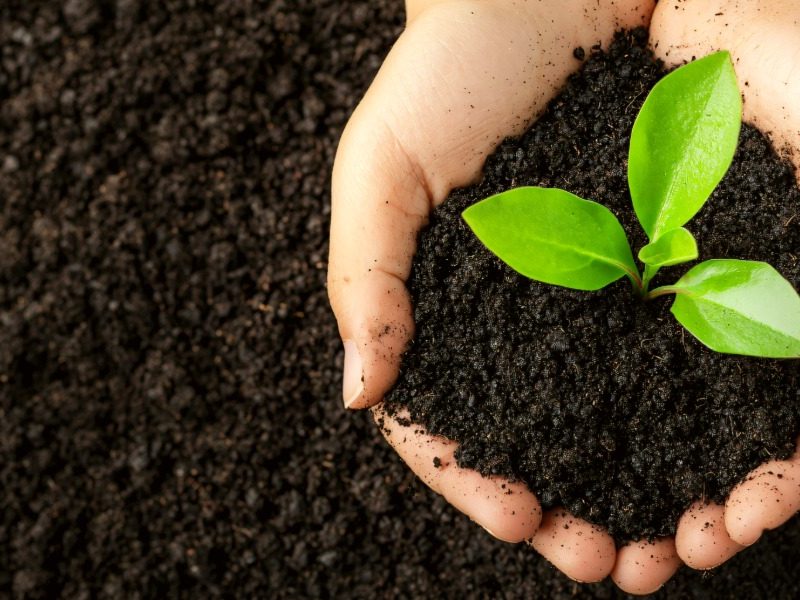 Glen Innes gets support on biochar vision