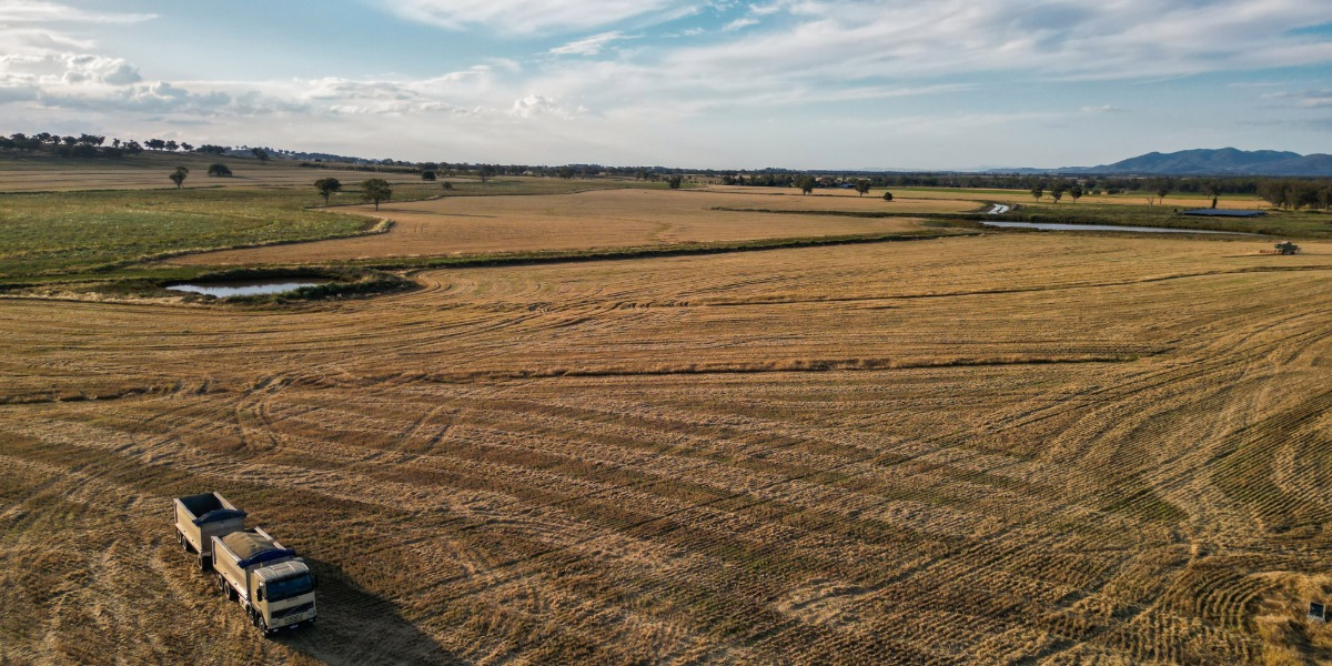 NFF calls for long term investment in agriculture