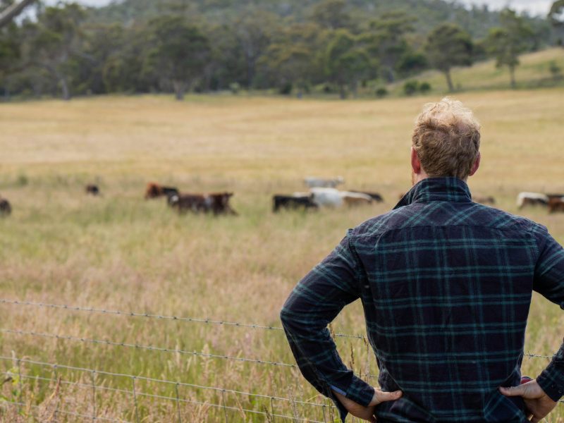 NSW records highest farm deaths as safety campaign calls for cultural change