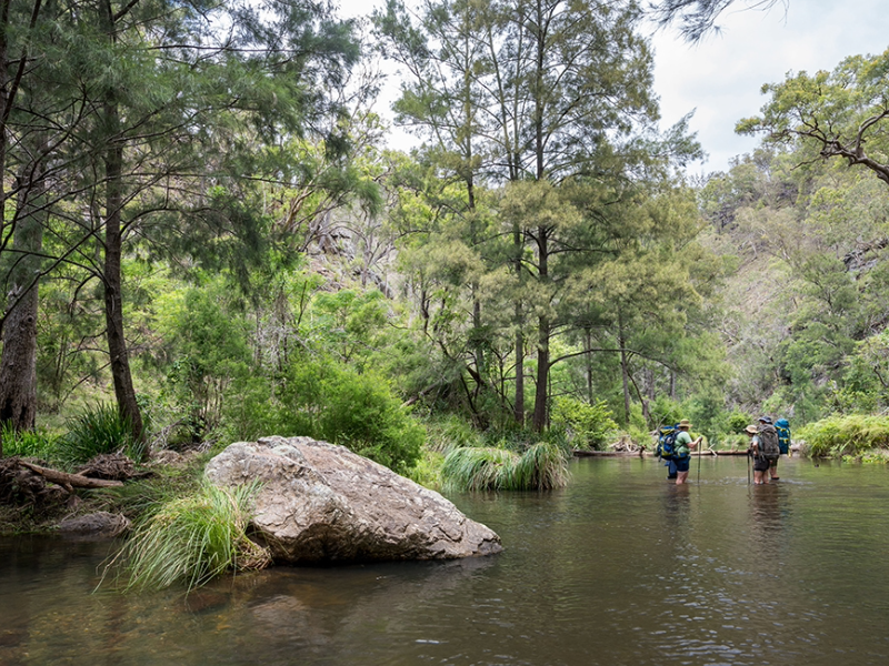 Green Gully Track highlighted in new walking campaign