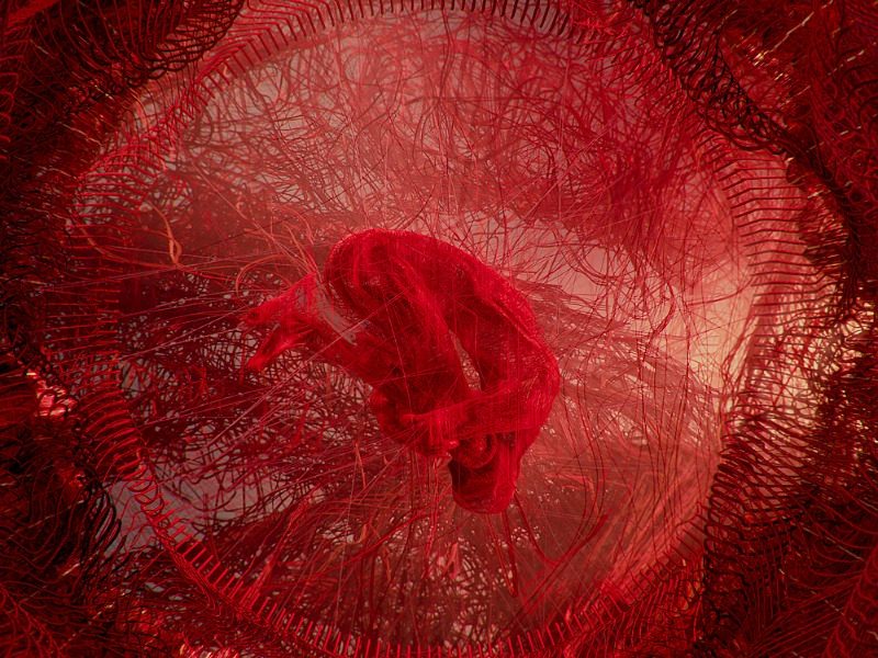 Interactive art exhibition launches in Armidale