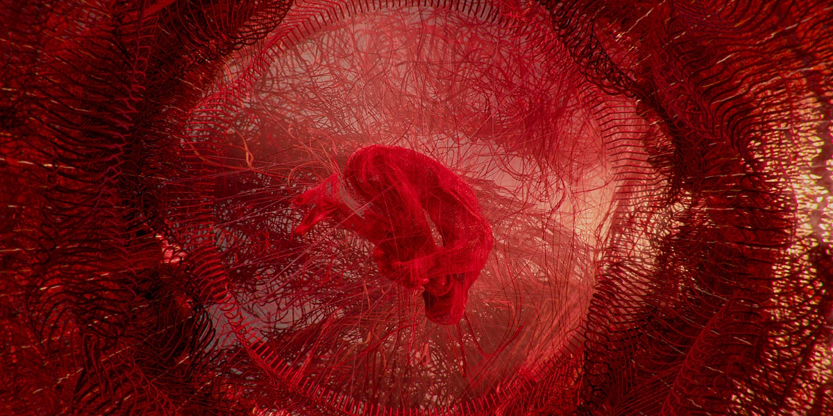 Interactive art exhibition launches in Armidale