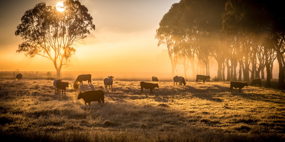 Farm financial skills workshop to boost resilience