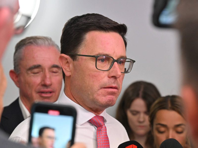 Nationals leader secure after spill bid falls flat
