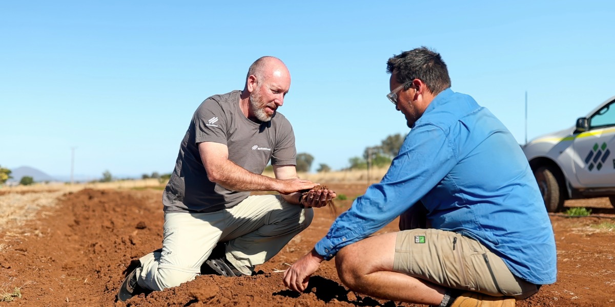 Uralla forum tackles growing native seed shortage