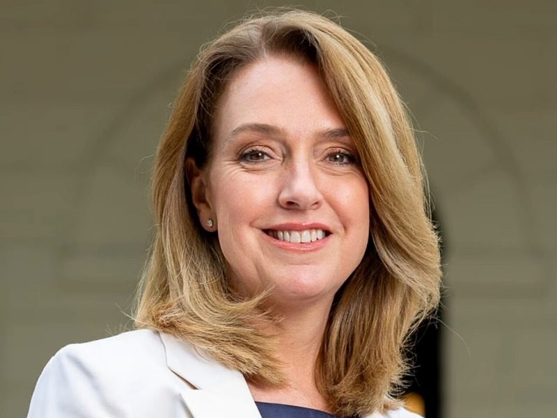 Another younger woman to take over as NSW Liberal leader quits