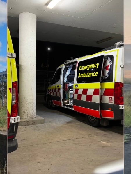 Coulda, shoulda, woulda stories of 2025