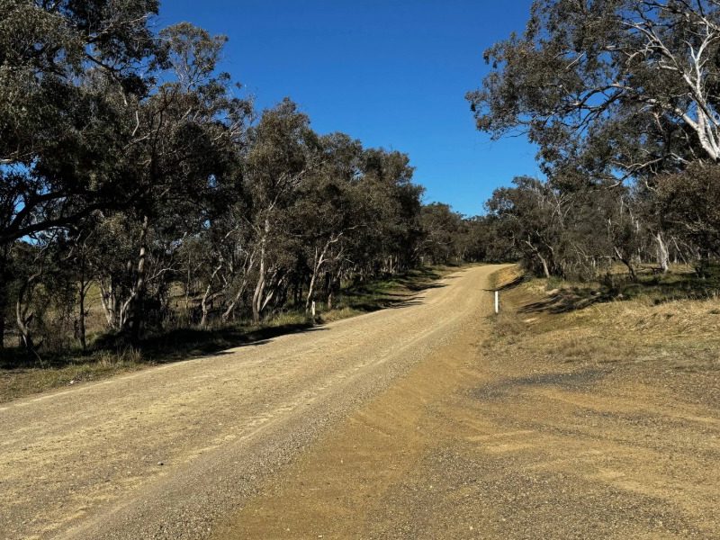 Default rural speed limit could drop to 80km/h under new road safety proposal