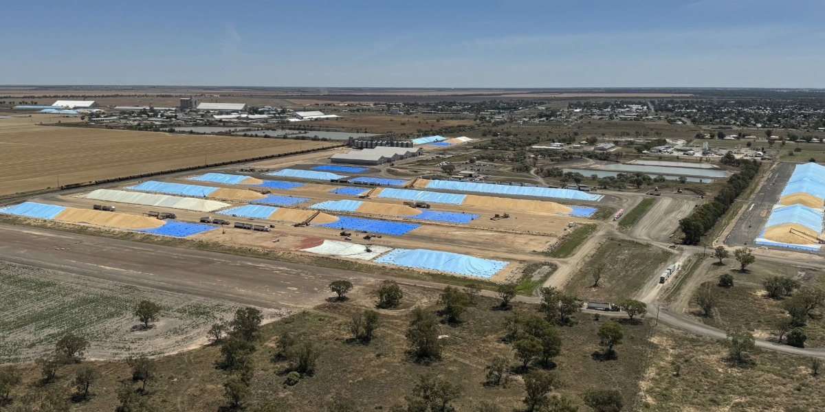 $12.7m Moree investment to create jobs, boost agricultural exports