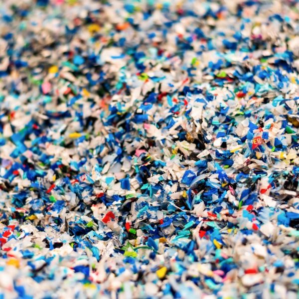Plastic phase-outs passed in NSW
